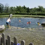 公寓 温德霍公寓 *