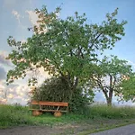 Windhoer * Saxen